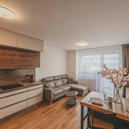 Luxusni Apartman U Petrofa S Vlastnim Parkovacim Mistem Градец-Кралове Экстерьер фото